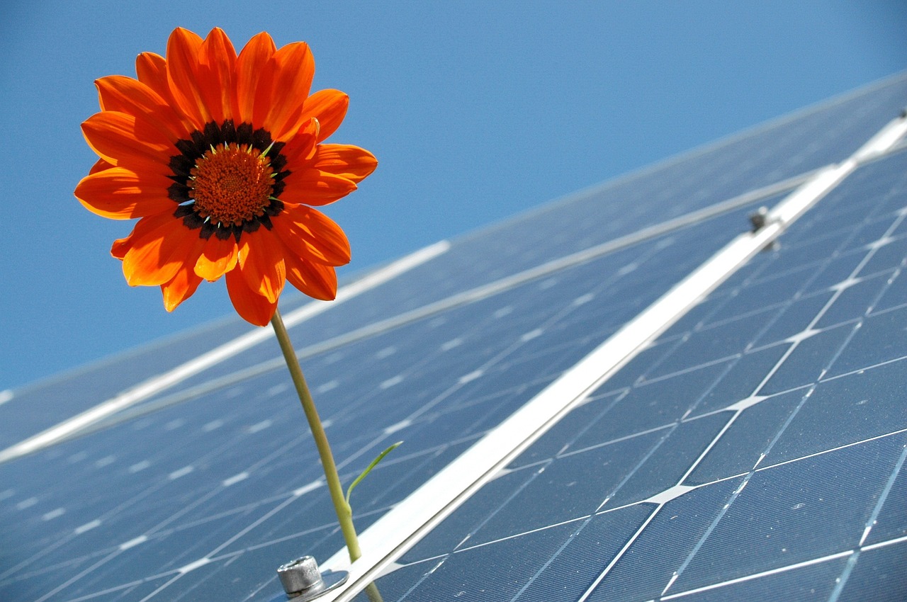 Why Every Business Should Consider Green Energy Solutions